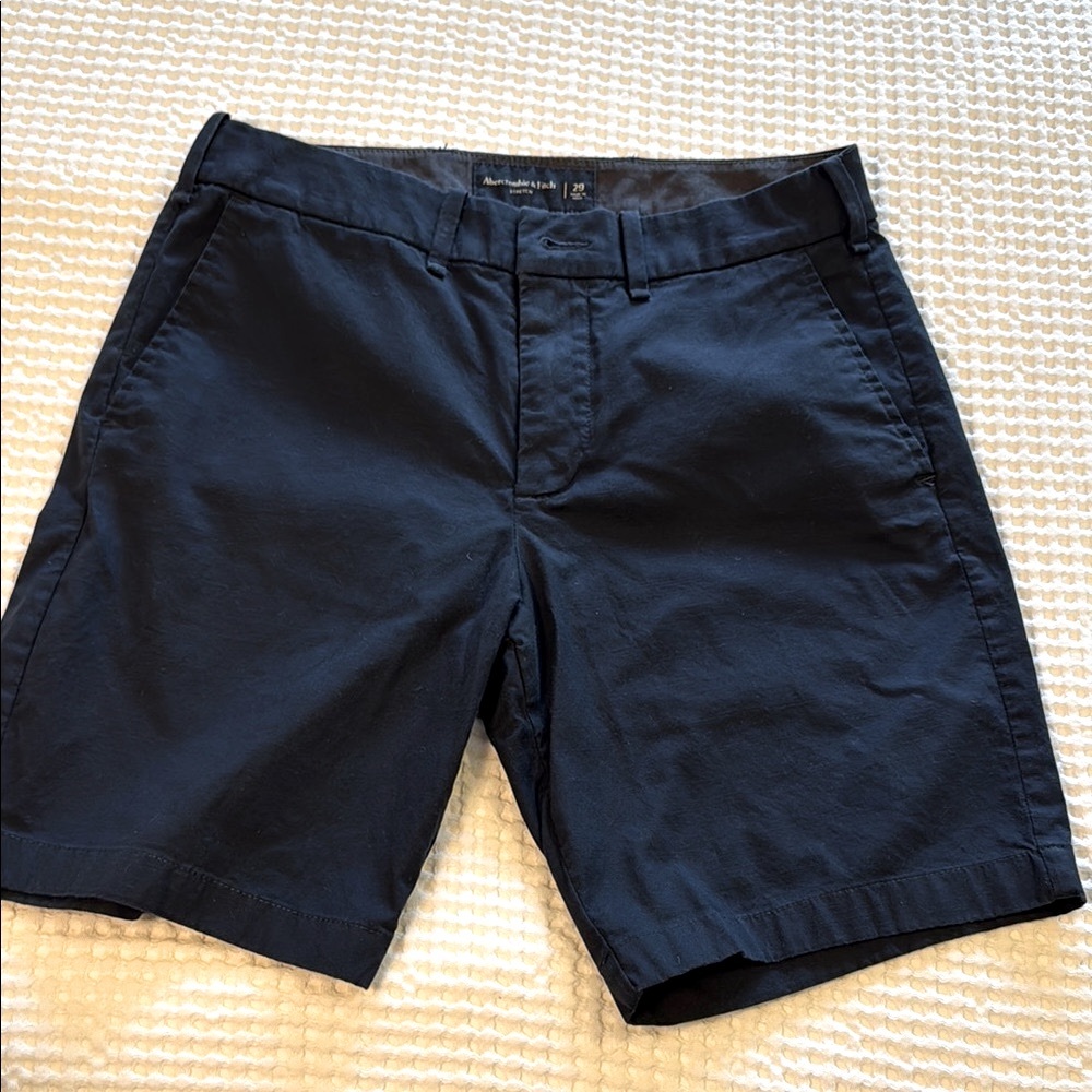Abercrombie & Fitch Navy Flat Front Shorts